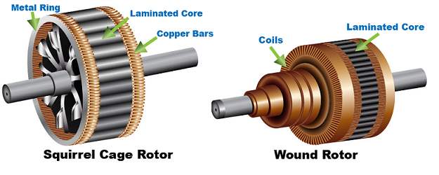 Figure 9: Induction Motor Rotor